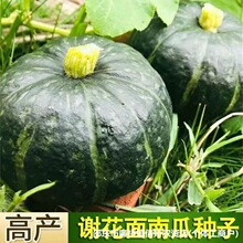 ԭ�S�ʰ��x�����ϹϷN�Ӵ�ȫ�GƤ�C�ϷN��ԭ�b�N�Ӵ�ȫ���l���l