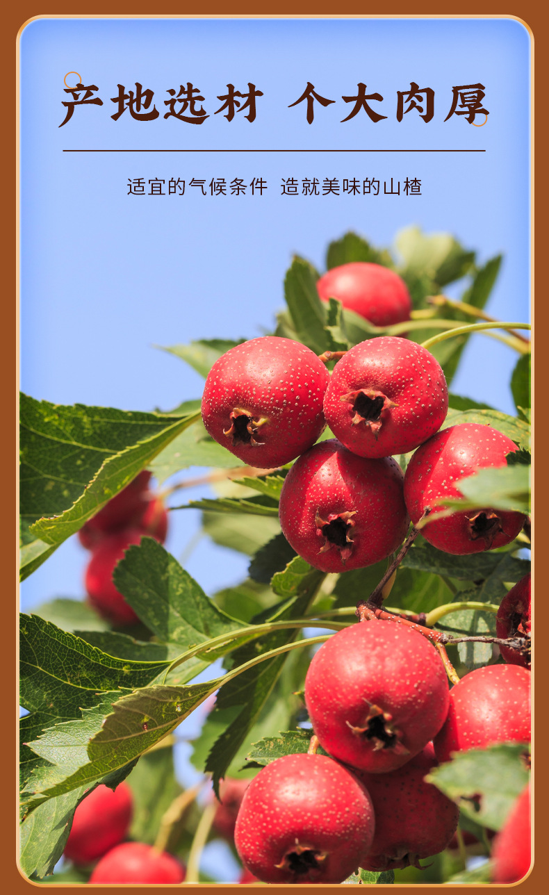 Freeze-Dried Candied Hawthorn Balls Seedless Bing Tang Hu Lu Snack Sweet Sour Crispy 100g Bag quality and texture