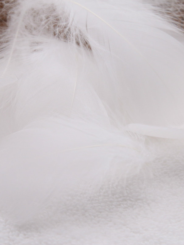 Plumas Decorativas Artesanales para Bodas y Manualidades DIY