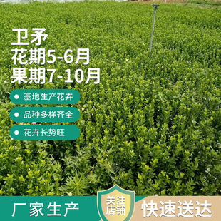 ���깩���lìС�����ֲ�﹤�̾G�����b��c�YҎ���Rȫ �lì��