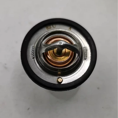 C034 145206230 – Thermostat