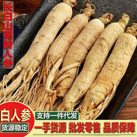 长白山特产西洋参人参干货干参煲汤泡酒过节送礼批发抖快代发批发