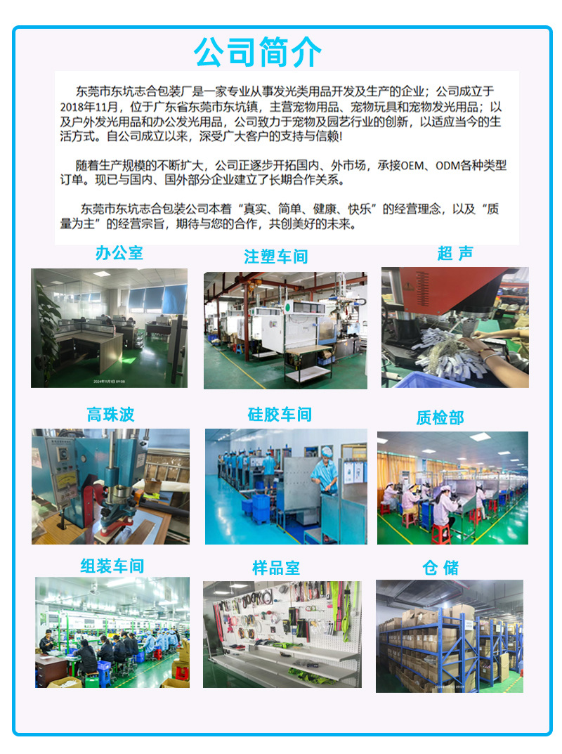 狗狗发光项圈可牵引