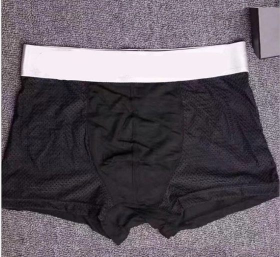 Summer Ice Silk breathable mesh hollow men's underwear EA mesh men's boxer pants youth boxer pants factory outlet