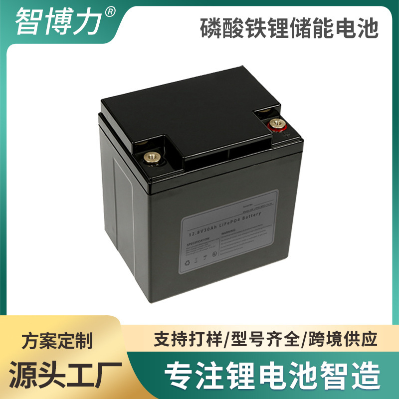 12V24Ah lithium iron phosphate battery UPS power RV battery 12 volt solar energy storage boat push lithium battery pack 12V24Ah lithium iron phosphate battery UPS power RV battery 12 volt solar energy storage boat push lithium battery pack