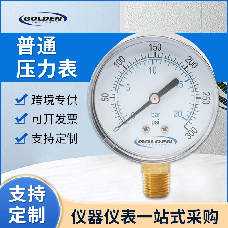 Обычный манометр 0-20bar радиальный высокоточный обычный прибор давления паровой насос бытовой манометр давления