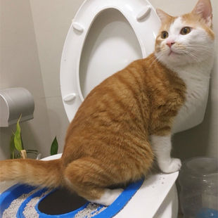 ؈�RͰӖ����؈���ɰ������׿�����������؈Ӗ�����RͰ�׿�ͨ��