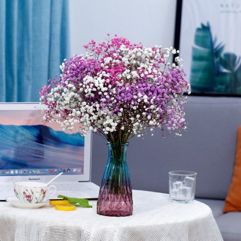 화이트+퍼플+로즈 안개꽃-꽃병 없음