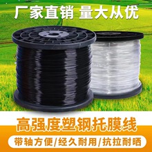 ��䓾�ֱ�NPET�����Bֳ�Ĥ��������Ĥ���r�I���@���ҾW����