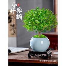 С~辰Ϙֲk҃ȾGֲ̨B̴滨ܔ[