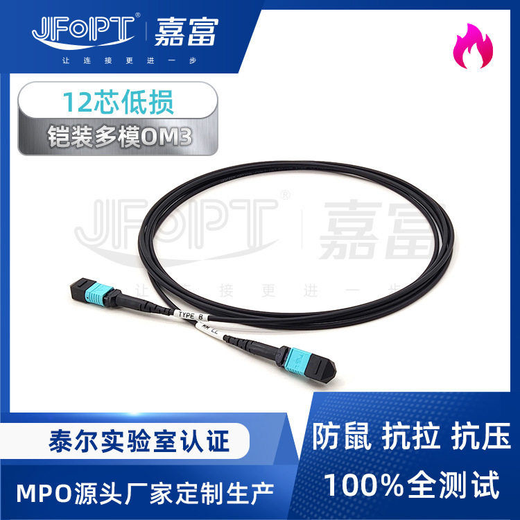 Armored Fiber Optic Patch Cord Mpo-Mpo Om3 Multimode 12-Core Is Suitable for 40G/100G/200G Network Transmission Armored Fiber Optic Patch Cord Mpo-Mpo Om3 Multimode 12-Core Is Suitable for 40G/100G/200G Network Transmission