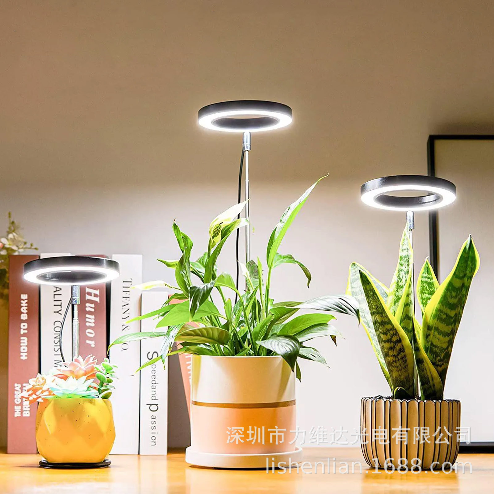 羳ֱʱл3000K6000KԲֲڲ