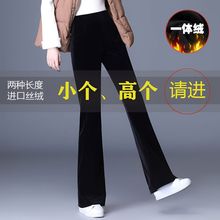 金丝绒显瘦喇叭裤女秋冬2023新款高腰加绒加厚休闲阔腿微喇长裤子