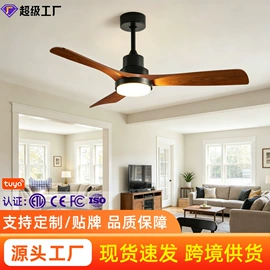 风扇灯;吊扇