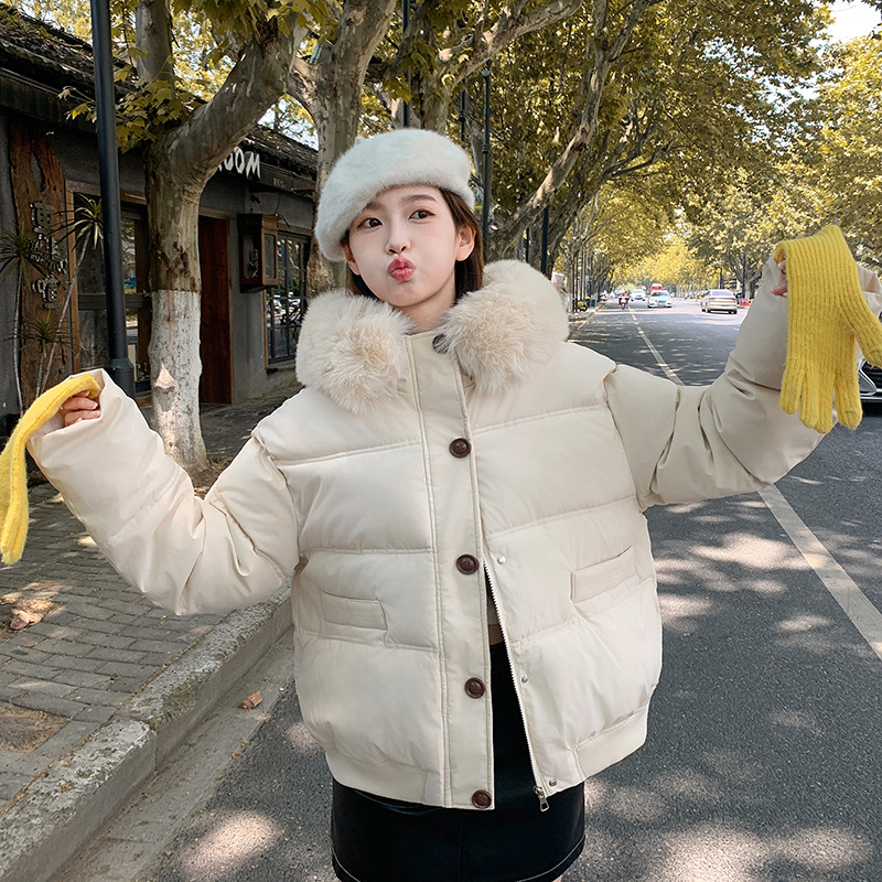 Invierno nuevo 2024 Corea del Sur Dongdaemun ropa de algodón de cuello grande mujer corto suelto ocio grueso chaqueta pequeña image 6