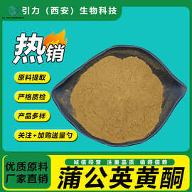 蒲公英黄酮5%-15% 蒲公英提取物 现货包邮 量大优惠 工厂直供