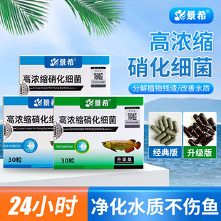 Jingxi Highly Concentrated Nitrifying Bacteria Capsules Manufacturer Direct Sales Fish Tank Aquarium Em Bacteria Probiotics Ornamental Fish Bacteria