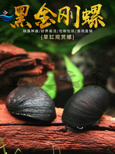 ڽݳG幤~ײݸ׳۷ݵˮ^pݻw