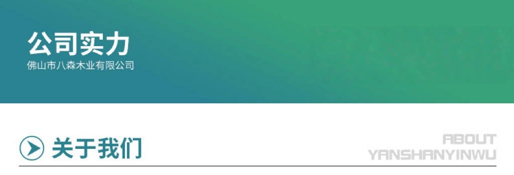 公司实力关于我们