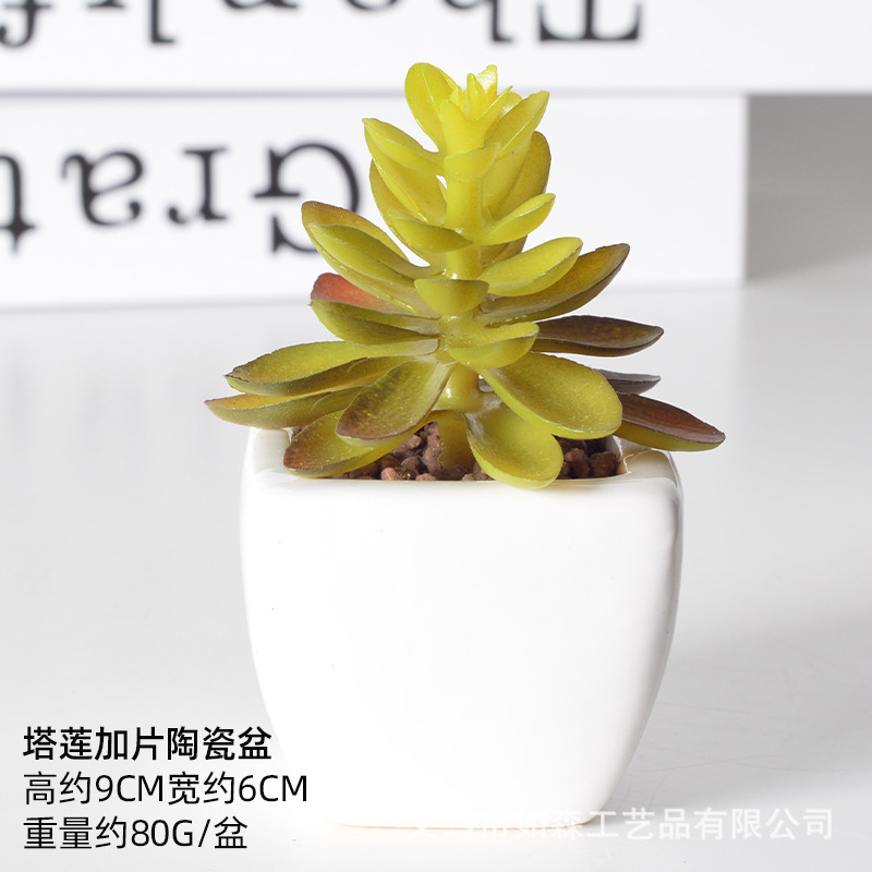 Simulación de cerámica bonsai de carne doméstica decoración de escritorio de oficina plantación verde maceta props de disparo maceta combinada artificial image 33