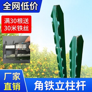 ���������U�����F�z�W�������������PY���T�F���^��֧�ΗU���ټ�