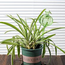 ������͸���������˝����B���Bˮ�ι���þGֲ�����Ԅӝ���������