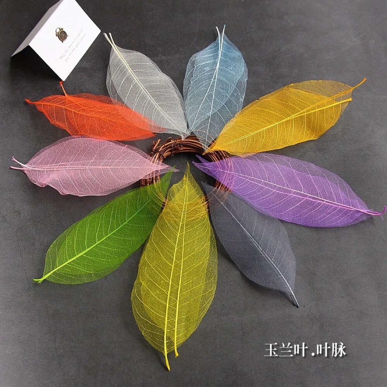 Оптовая продажа, высококачественные натуральные листья магнолии, вены, алмазные листья, красочные сетчатые листья, ручная работа, наклейки-закладки «сделай сам», аксессуары