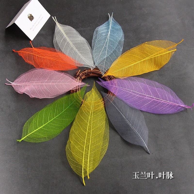 Wholesale High-quality Natural Magnolia Leaf Vein Diamond Leaf Colorful Mesh Leaf Handmade diy Bookmark Sticker Accessories