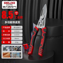 �������FƤ�������I���p����Ǐ������P䓵Č����F�z�􄃾������Q