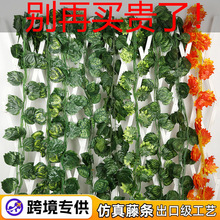 ���R�d�羳����30�~�ٗl�Gֲ�b٘��~���������عϾG�}�~���ړ�