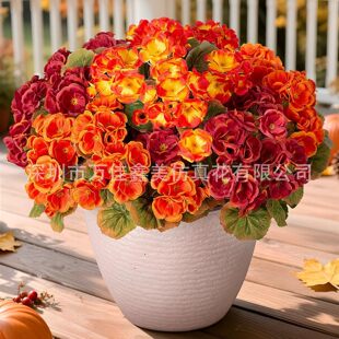 �羳���R�d������ɫ���ÿ����Ļ�����ٻ��Ҿӻ��@���⹝�c�b�