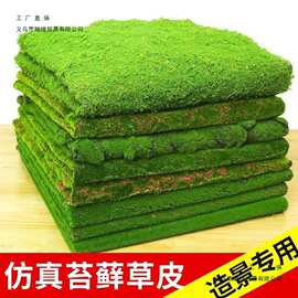 苔藓草坪青苔草坪盆景草坪场景橱窗软装苔藓绿地墙面草苔藓