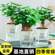 �lؔ�������҃�ֲ��͏d����ȩ���BС�辰�ļ������k���һ��ܾGֲ