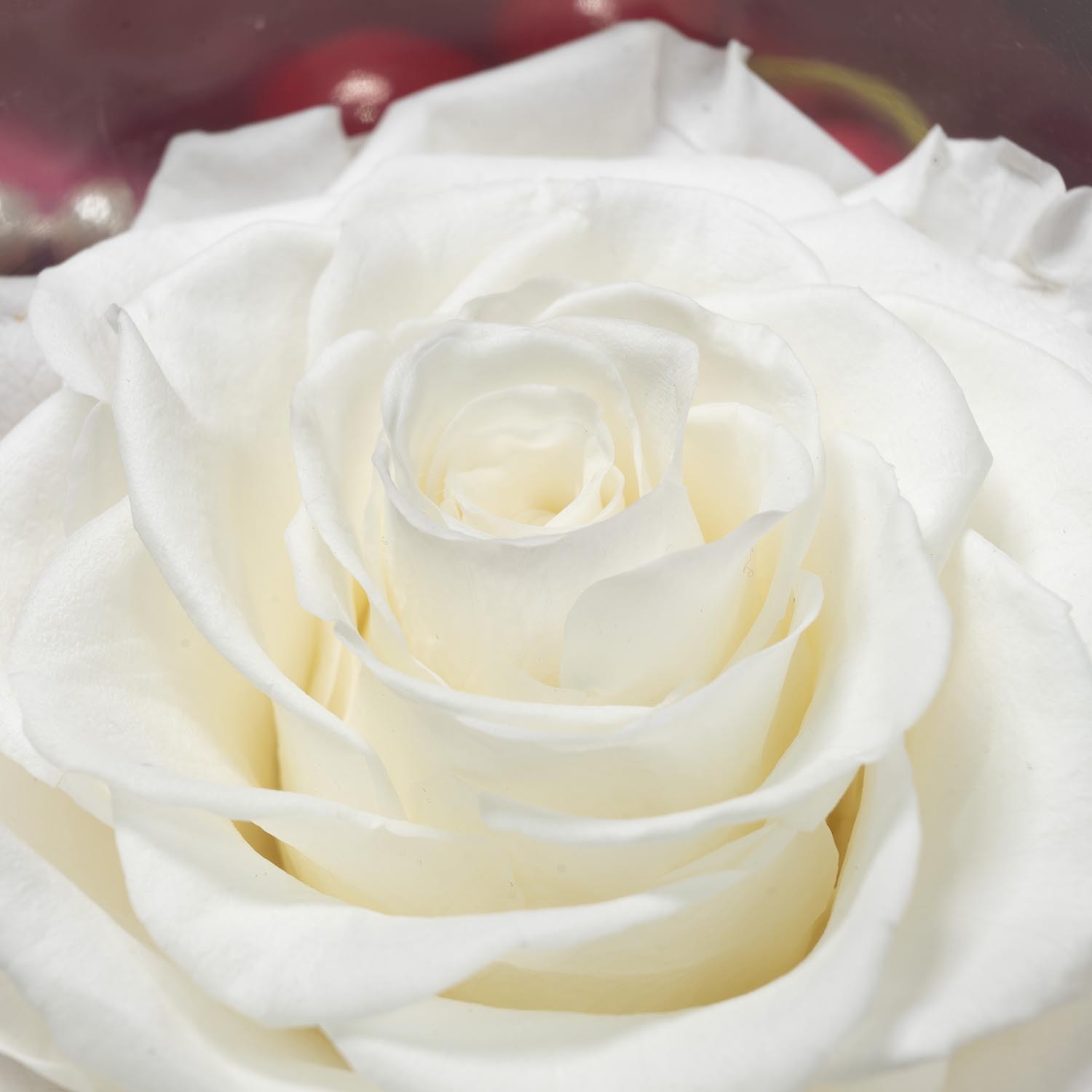 Yunnan Kunming Yongsheng Flor al por mayor 9-10cmA hecho a mano DIY flores regalos de Navidad con flores y flores