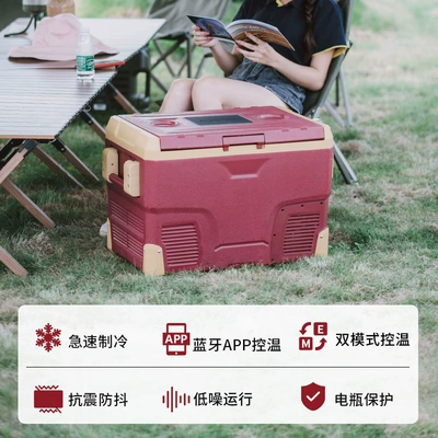 Soyuducular Refrigerator Car Home Dual-use