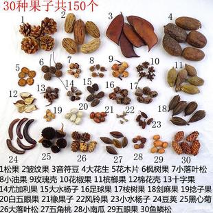 �ֹ�diy����30�N150����Ȼ��������ɹ��׃��@�h�����ϰ��Ĕz����