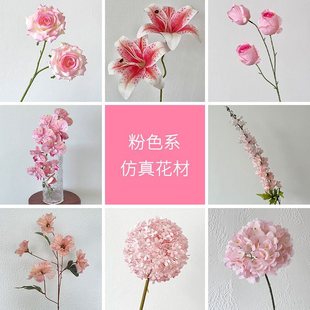 ��ɫϵ����c�û��Ƶ� �������·�����Ż�õ�彑��ٻ�