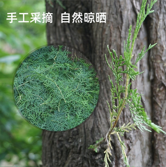 He Shou Wu Five Black Hair Wash Powder 70g Boxed Herbal Shampoo Powder with Eclipta Clove Mugwort Soap Pod key features