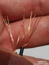 ~䓱;500707ͨӍpgԒȏV