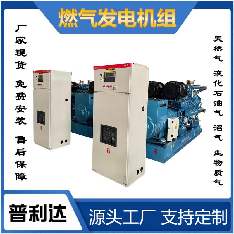 500KW 600kW ガス発電機セット 天然ガス発電機セット ガス発電所 CHP|undefined