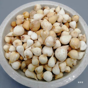 Ұɽ��ȹ� �״ȹ� ��ȹ� �״Ĺ� ���f���^ ��Ĺ� ɽ����؛��؛