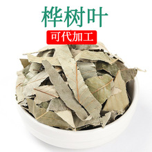 干桦树叶新鲜 中药材批发可加工桦树叶碎 中草药干净无杂质