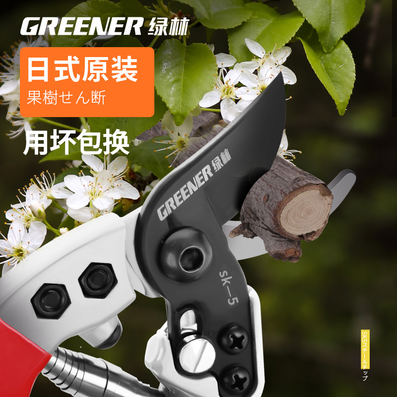 Tijeras de Podar Especializadas Green Forest Garden, Tijeras para Ramas Resistentes que Ahorran Esfuerzo, Tijeras para Podar Árboles Frutales y Flores, Herramientas de Jardinería Profesionales