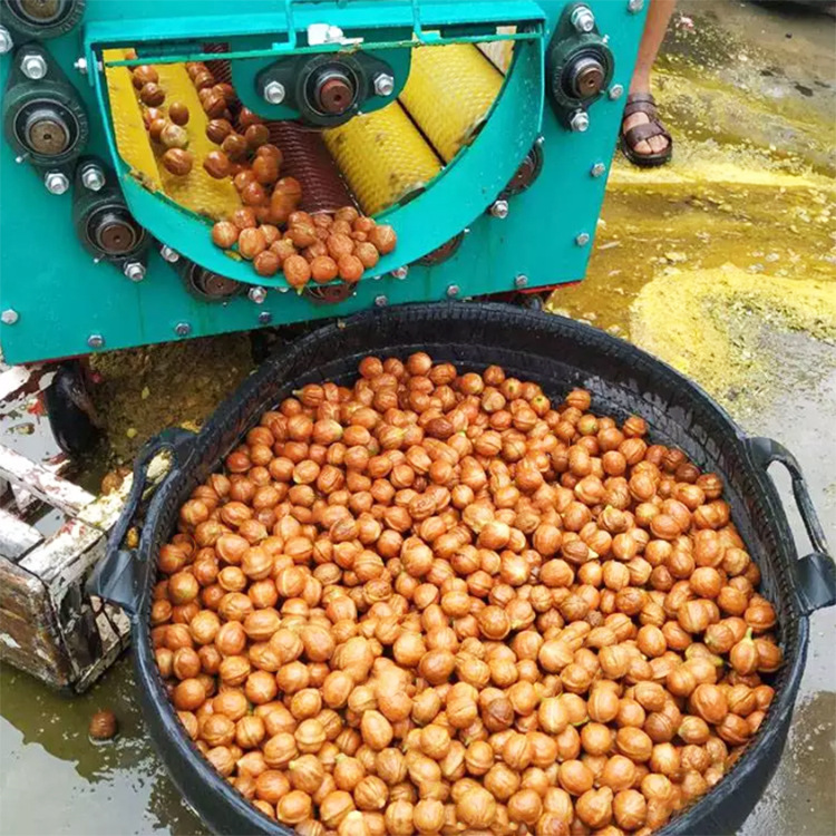 现货鲜核桃脱皮机出售水洗核桃脱壳机剥皮设备青皮核桃去皮机四川