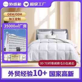 绗缝被芯亚马逊热销被子冬季厚款超软超纤维被褥轻质酒店磨毛批发