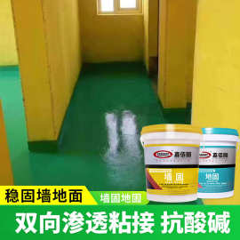 墙固地固水泥除碱界面剂 防水渗透拉毛处理剂 毛坯墙加固防潮防霉