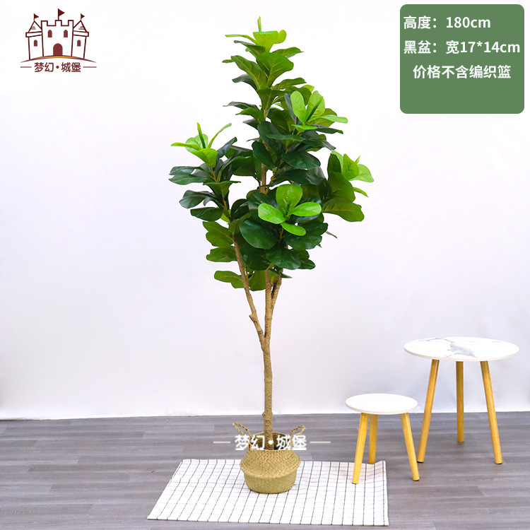Simulación de plantación verde de plátano de bambú de tortuga grande planta de plantación de ventana interior diseño de ángulo de planta de árbol falso paisajístico