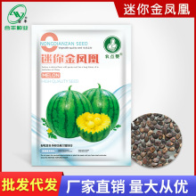 迷你金凤凰西瓜种子绿皮黄心小西瓜大田瓜果种籽合丰种业种子批发