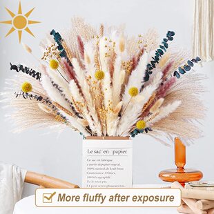 Amazon pampas grass small reed rabbit tail grass dust small reed home decoration mix cross-border dried flower bouquet