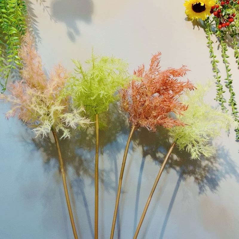 微信图片_20240310121707